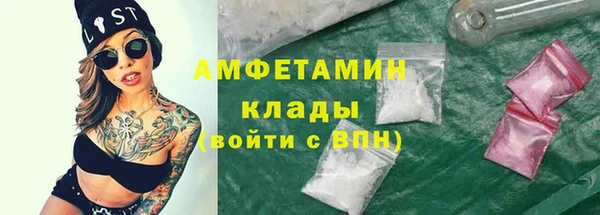 ГАЛЛЮЦИНОГЕННЫЕ ГРИБЫ Белокуриха