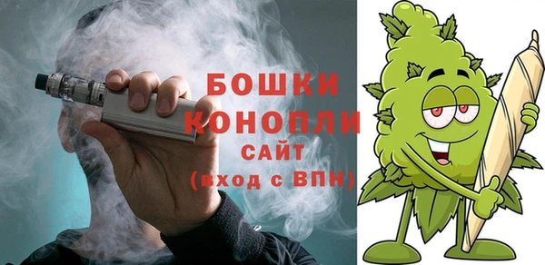 молекула духа Покровск