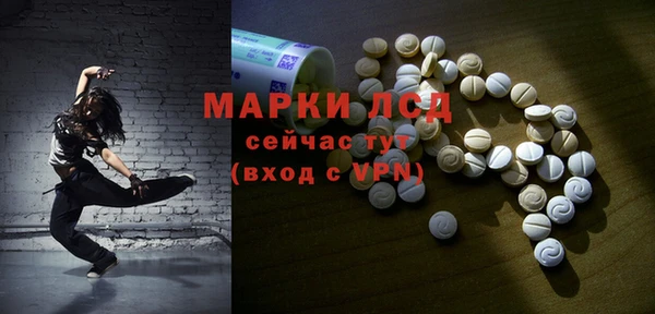 индика Пролетарск