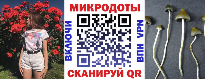 цены наркотик  Киров  Псилоцибиновые грибы Cubensis 
